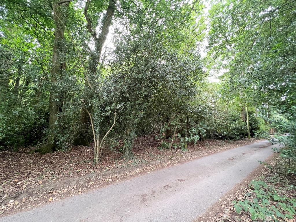 Lot: 73 - 1.4 ACRES WITH POTENTIAL -